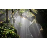 光的干涉、衍射、折射、反射、散射